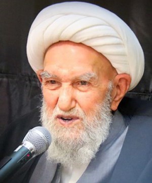 اقسام رزق آیتالله ناصری(ره)