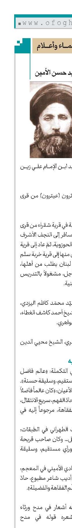 السيد حسن الأمين