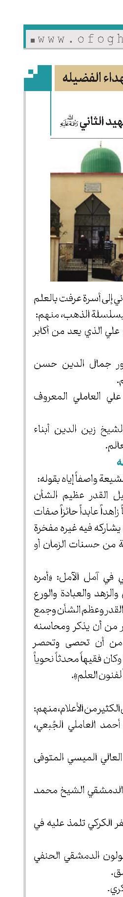 الشهيد الثاني(ره)