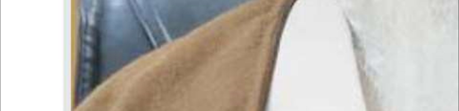 نقدی بر بخشی از کتاب بازخوانی فقهی امر به معروف و نهی از منکر استاد مصطفی محقق داماد 