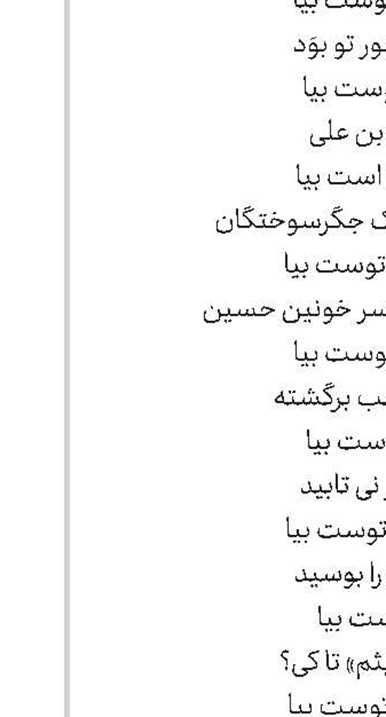 امین ولایت 