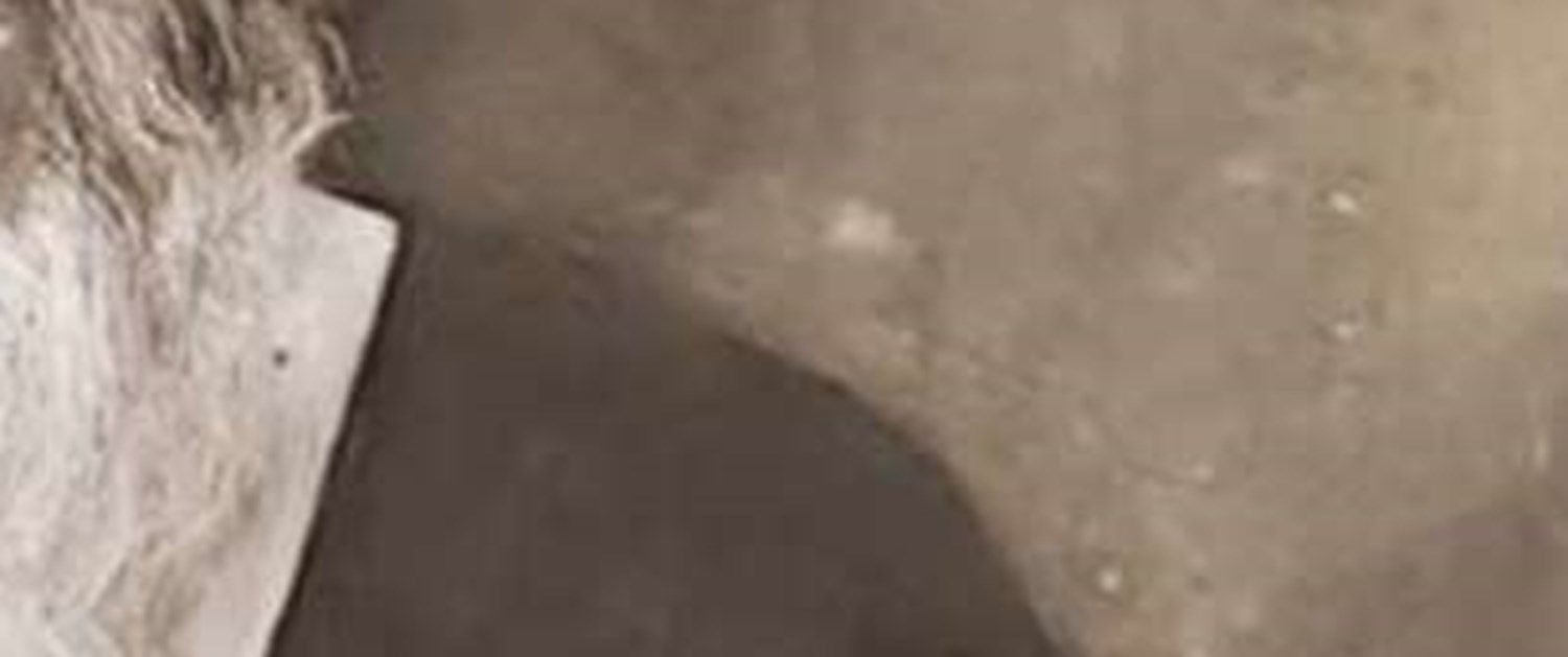 اساس تحقیق در تمام علوم اسلامی تکیه بر قوه عقل است 