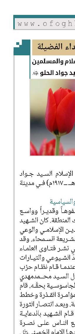 الشهيد حجة الإسلام والمسلمين السيد جواد الحلو(ره)